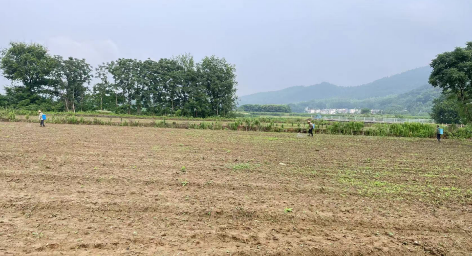 涌泉乡黄洞村：落实防暑降温措施 关爱一线工作者