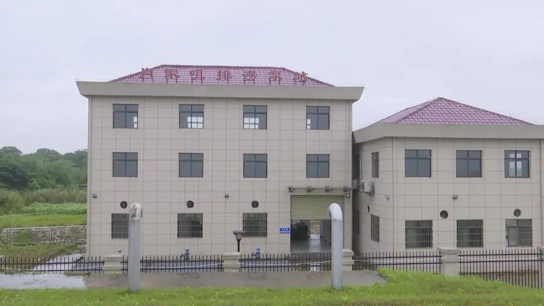 城子镇排涝泵站：满荷运行 抢排涝水