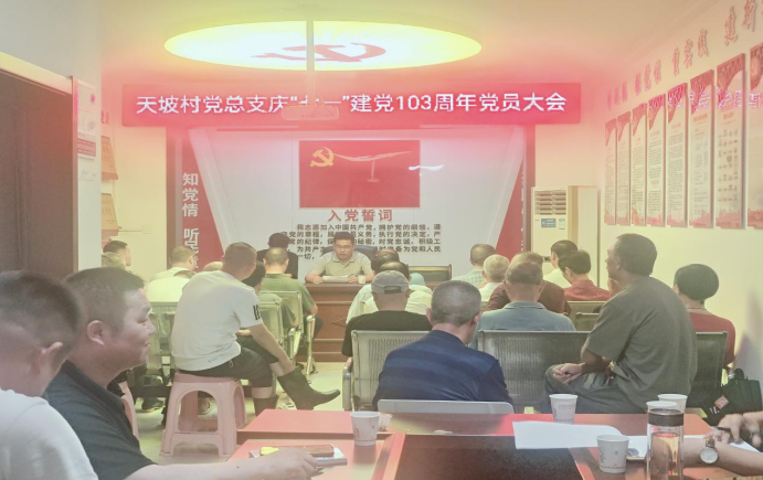 岳师街道天坡村党总支召开“七一”  党员大会