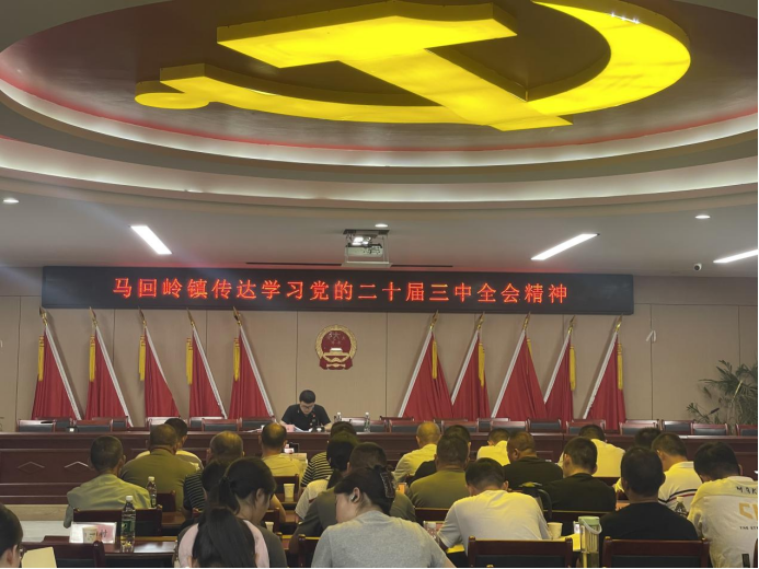 马回岭镇召开传达学习党的二十届三中全会精神暨2024年党员干部培训会