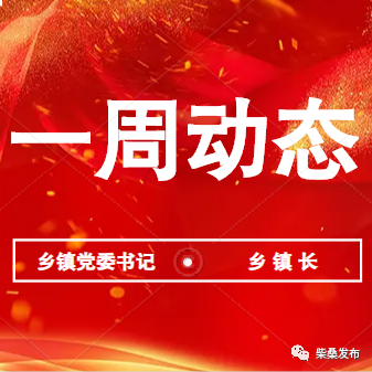 柴桑区各乡镇党委书记、乡镇长一周干了啥？（涌泉乡）