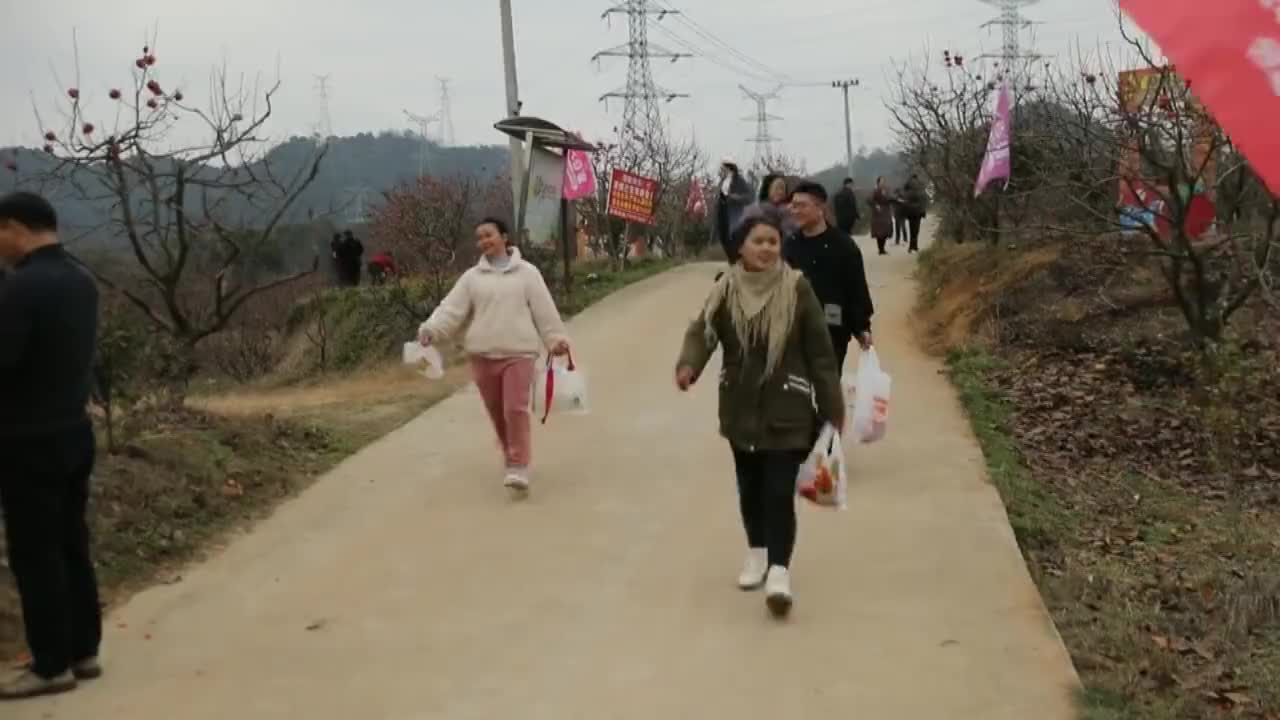 助推“文旅旺区”战略深入实施 柴桑区第二届金柿子旅游消费文化节开幕