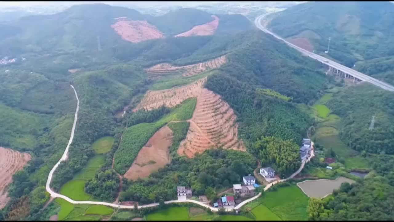 点赞拾金不昧好少年！柴桑区：两名小学生拾金不昧  民警接力归还失主
