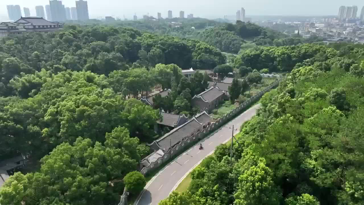 主播带你游柴桑：缤纷醉人眼 赏菊正当时