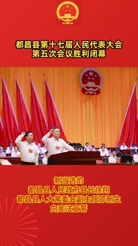 新当选的县人民政府县长徐翔、县人大常委会副主任邵新生向宪法宣誓