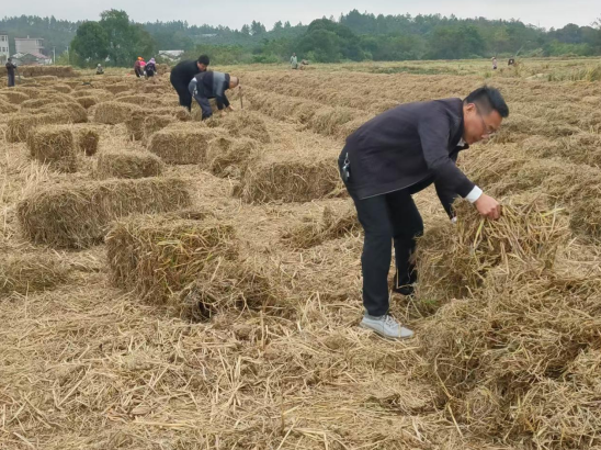 亮服务成色 践履职担当——中馆镇干部群众热议人大代表保障和改善民生