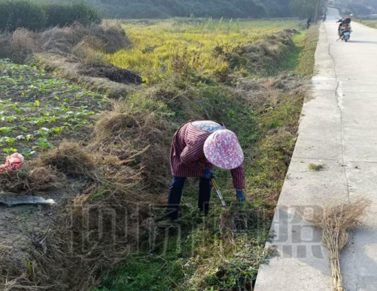 苏山乡：扎实开展环境卫生整治活动