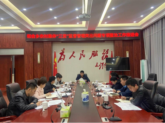 和合乡：召开农村集体“三资”监督管理突出问题专项整治工作推进会