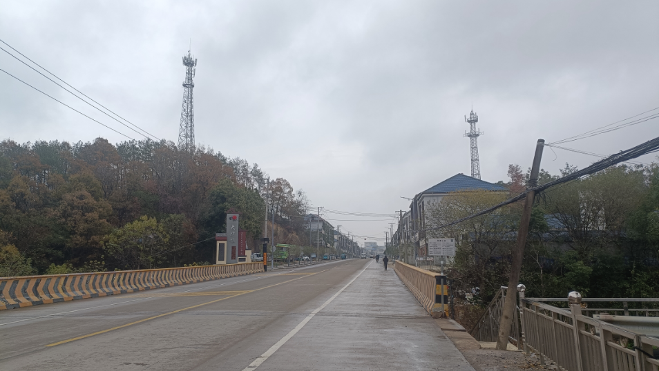 大沙镇：环境“洁”尽全力展新颜
