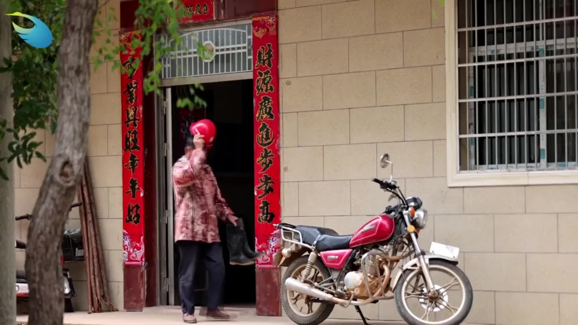 只为远方的鸟儿留下来