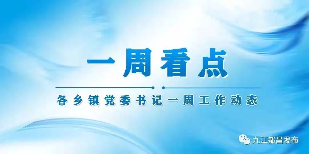 来看看本周各乡镇党委书记在忙啥？