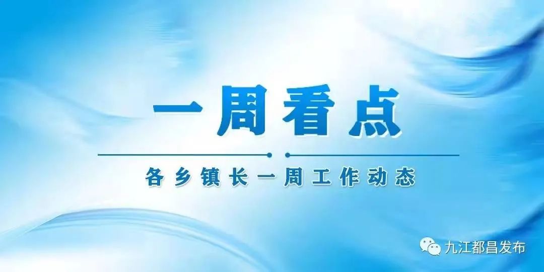 来看看本周各乡镇长在忙啥？