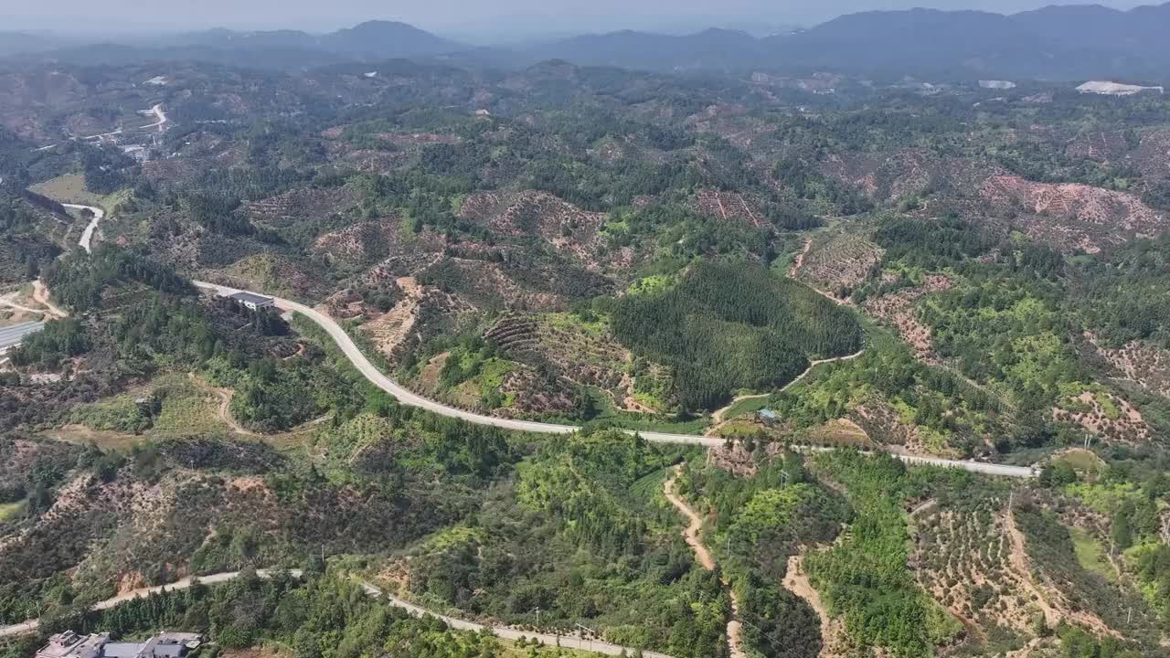 油茶获丰收 村民采摘忙