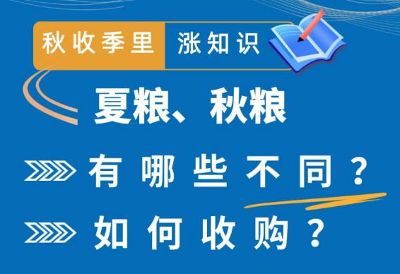 秋收季里涨知识丨夏粮、秋粮有哪些不同？如何收购？