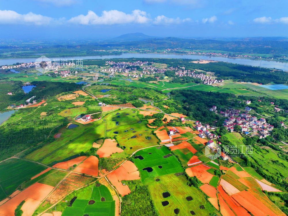 江西泰和：夏日多彩田园