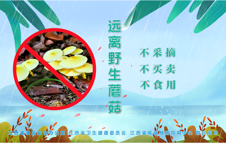 预警！致命毒蘑菇高发季，路边的蘑菇不要采！