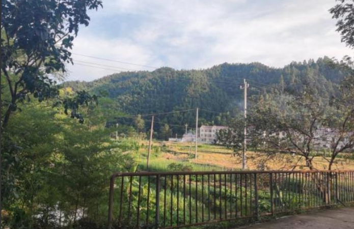 上圯乡严守秸秆禁烧防线