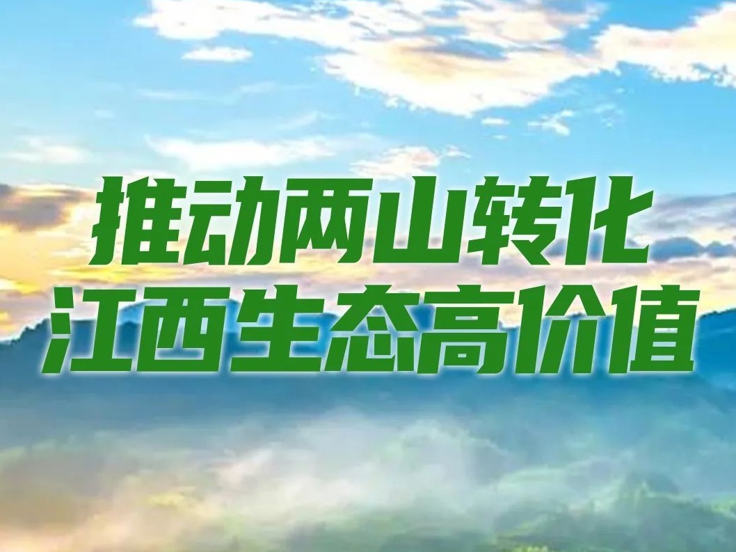 点绿成金！江西，绿意澎湃