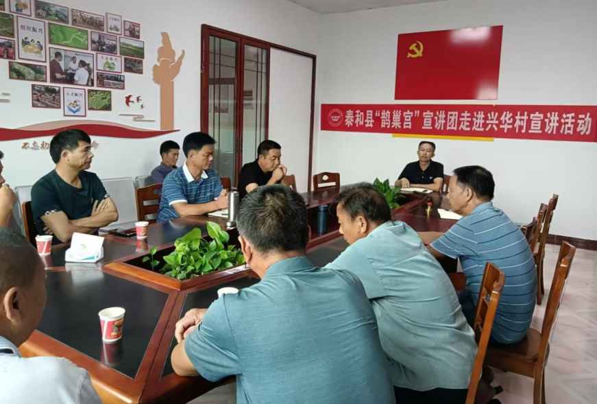 沙村镇鹊巢宫宣讲团走进兴华村宣传党的二十届三中全会精神