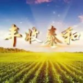 丰收泰和 | 中国农民丰收节即将到来，一起来听听泰和人的心声……