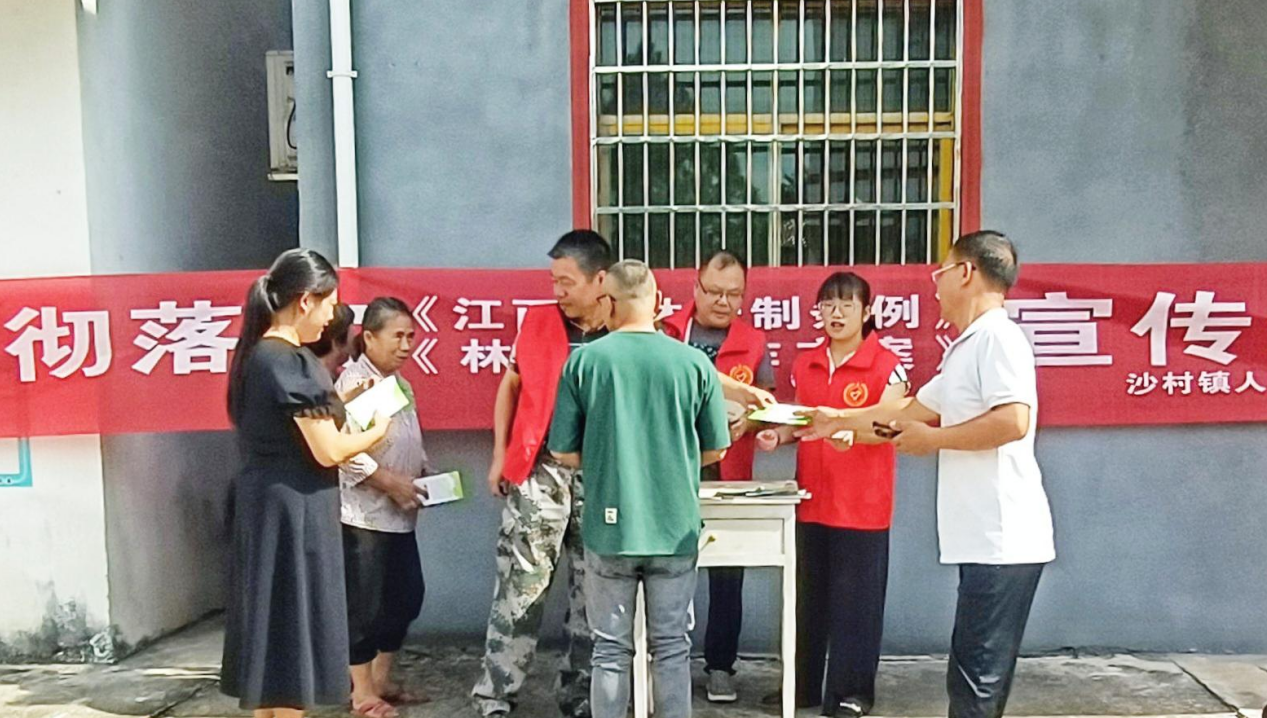 沙村镇：落实林长制，实现林长治