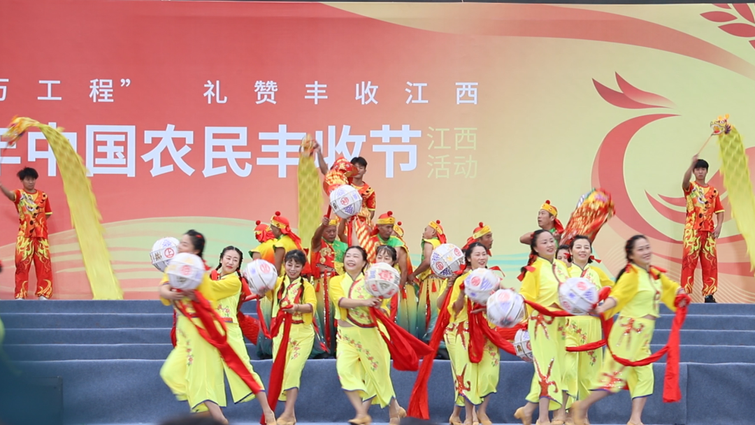 金秋好“丰”景，这里“泰”热闹！一起回顾精彩瞬间→