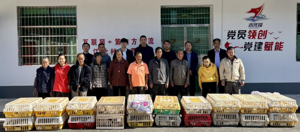 禾市镇江北村发展乌鸡产业助农增收