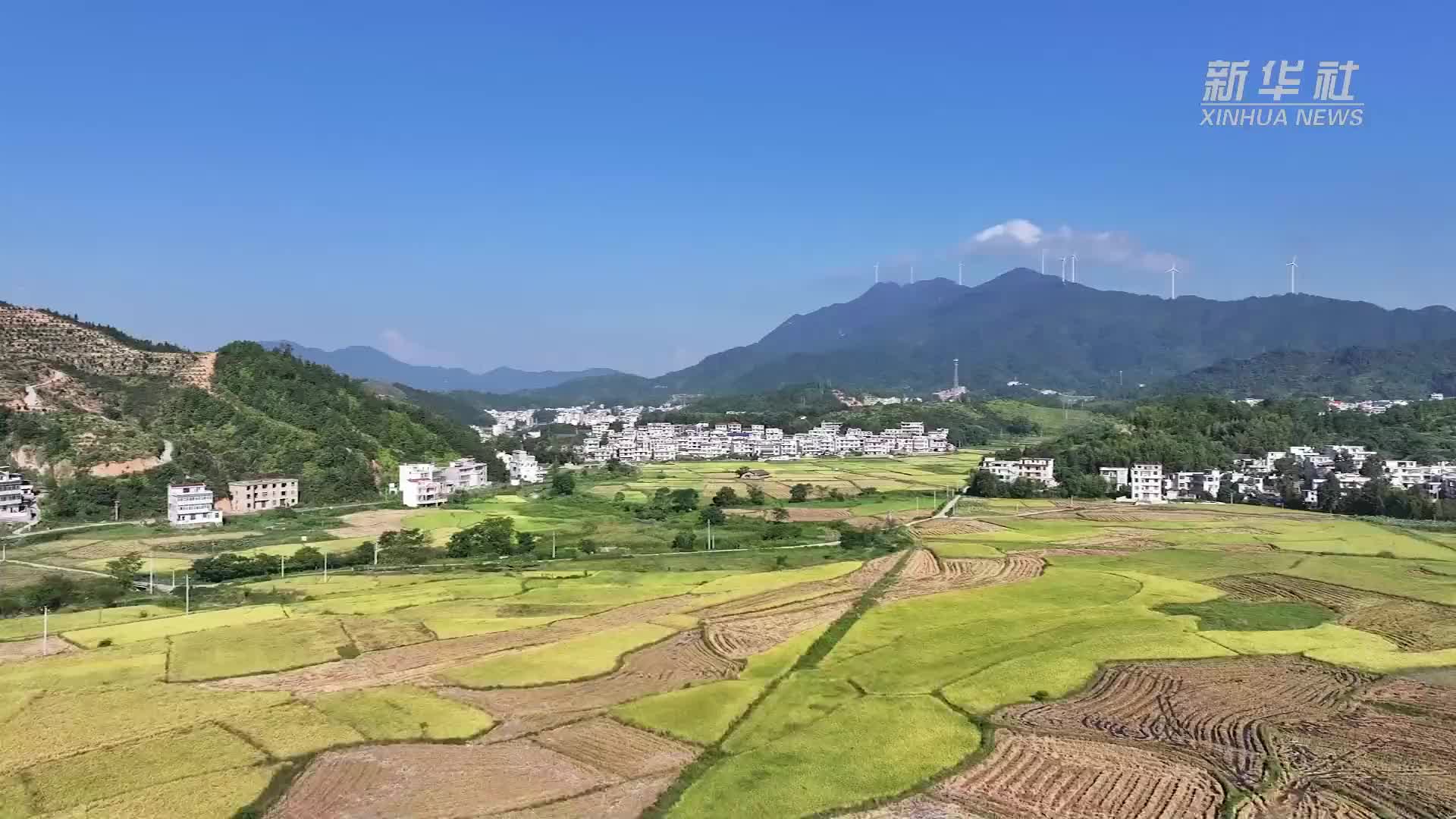 江西：高速收费站开放院子方便村民晒谷