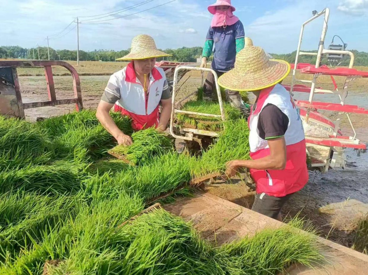 新时代赣鄱先锋 | 一心为民谋福祉，实干兴村领路人