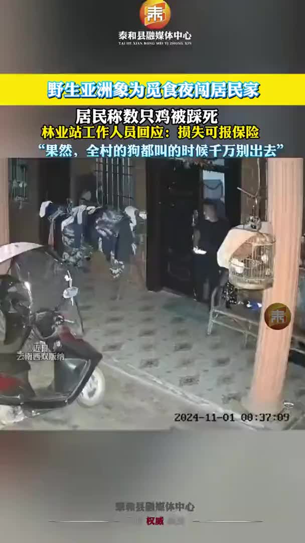 抖音 | 野生亚洲象为觅食夜闯居民家