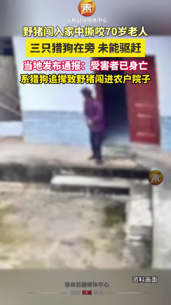 抖音 | 野猪闯入家中撕咬70岁老人