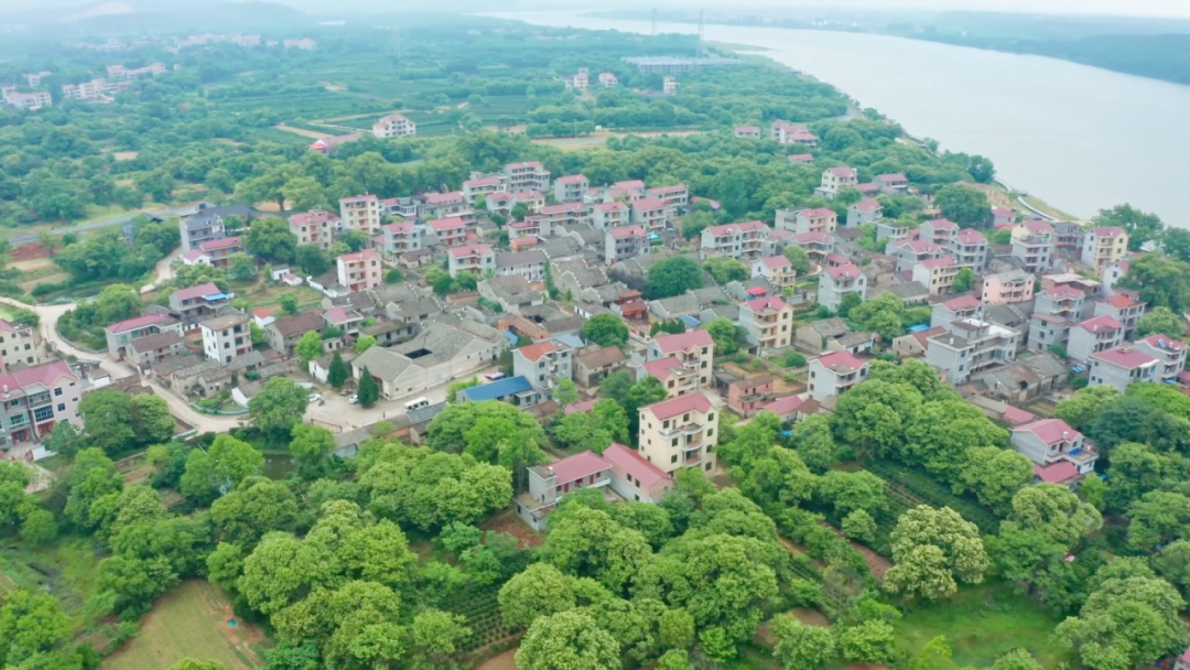 真心羡慕！住在泰和这里的居民有福了→