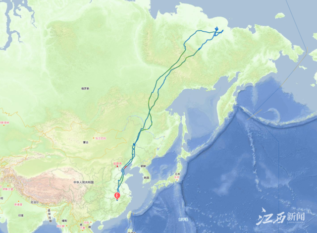 历时222天，白鹤“小雪”首次跨国旅行归来