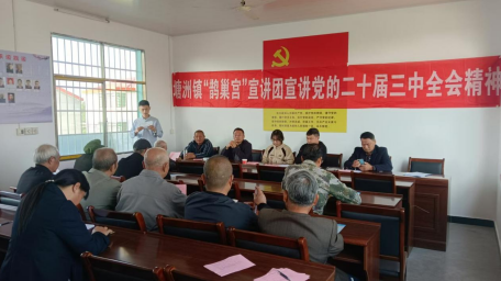 塘洲镇“鹊巢宫”宣讲团深入基层传播党的二十届三中全会精神