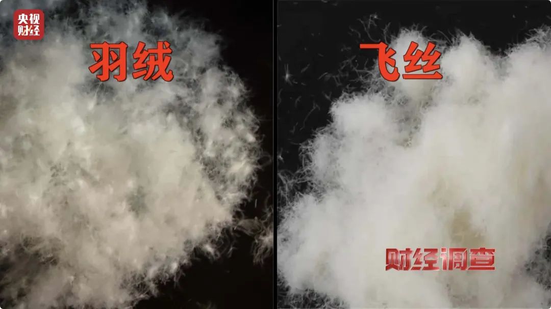 @泰和人！你新买的羽绒服可能是假的！