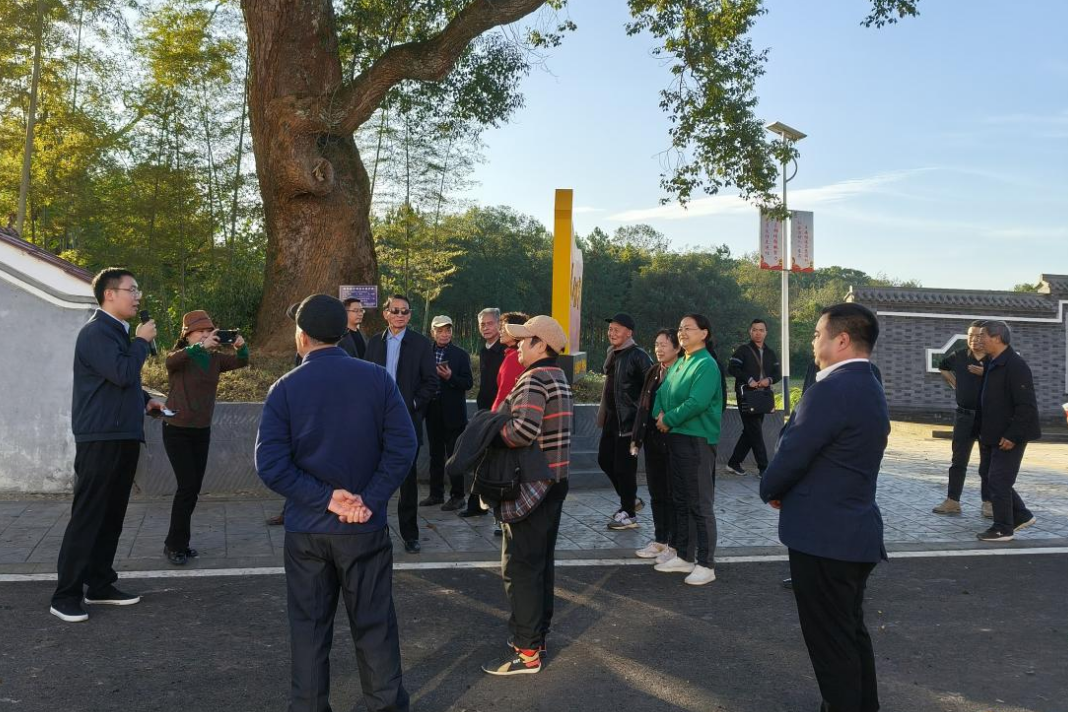 县委离退休干部到冠朝镇美丽乡村建设坝溪点参观学习