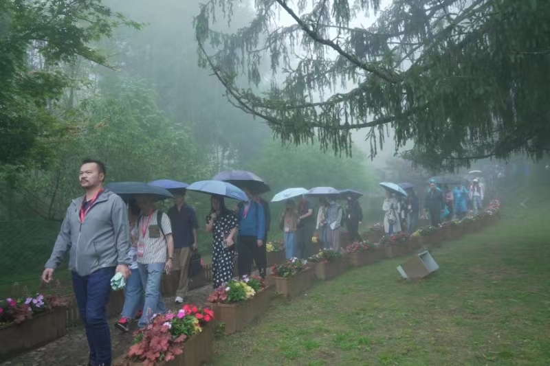 【江西是个好地方】2024年“艺海流金·情满赣鄱”内地与港澳文化和旅游界交流活动走进庐山