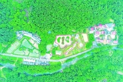 不忘来时路 奋进新征程｜产业带动，破解治理难题