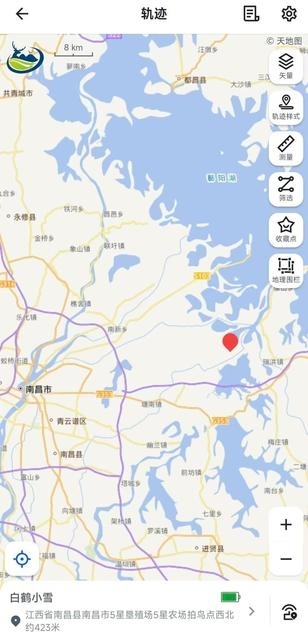 历时222天，白鹤“小雪”首次跨国旅行归来