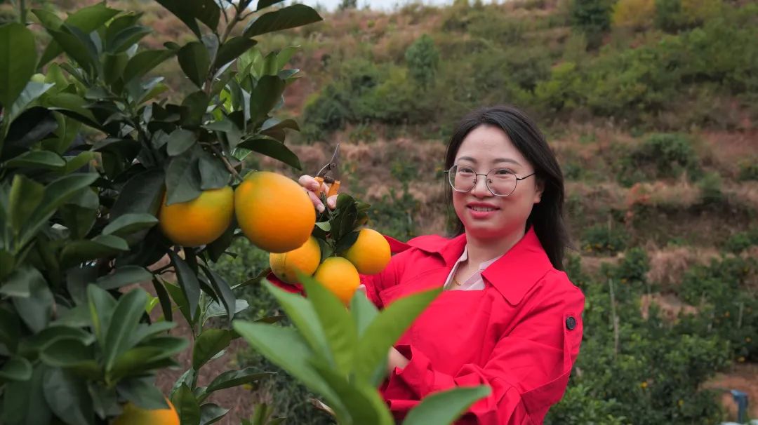 新增！我区这2家企业核准使用“赣南脐橙”地理标志专用标志