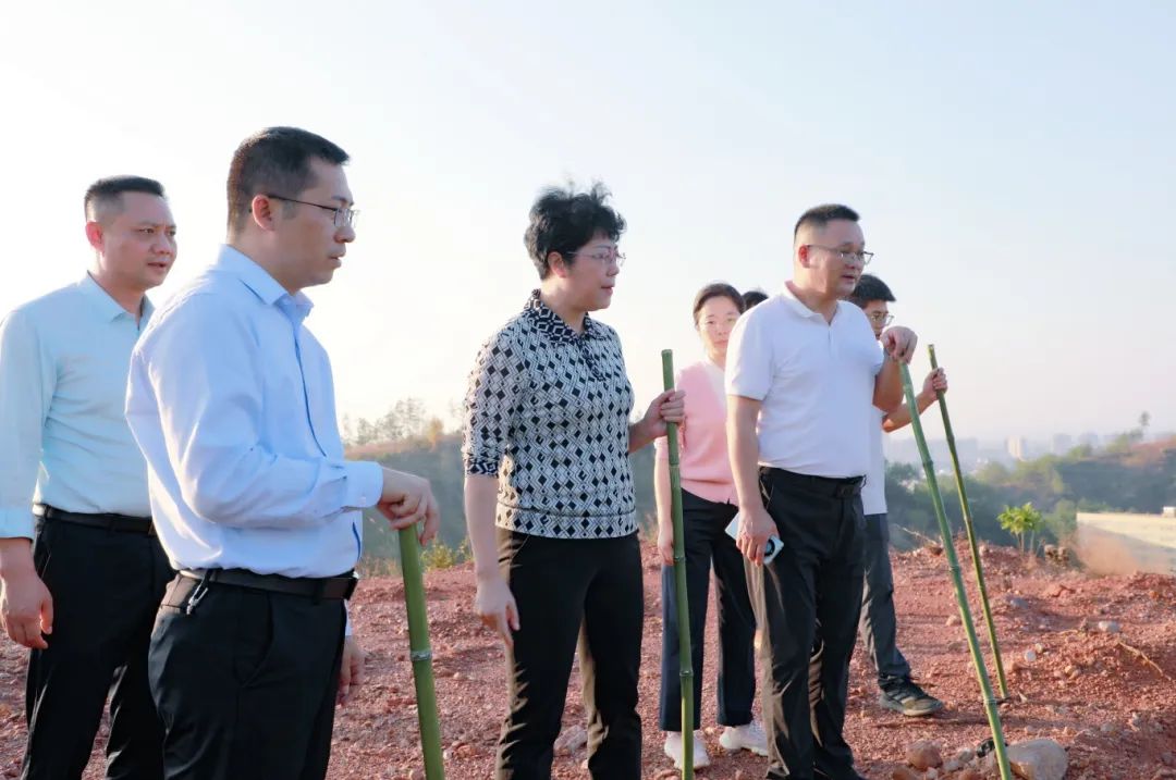 许伟开展巡河巡林并调度巩固拓展脱贫攻坚成果同乡村振兴有效衔接工作