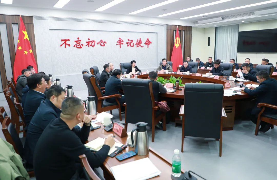 全区2025年重大项目谋划工作调度会召开