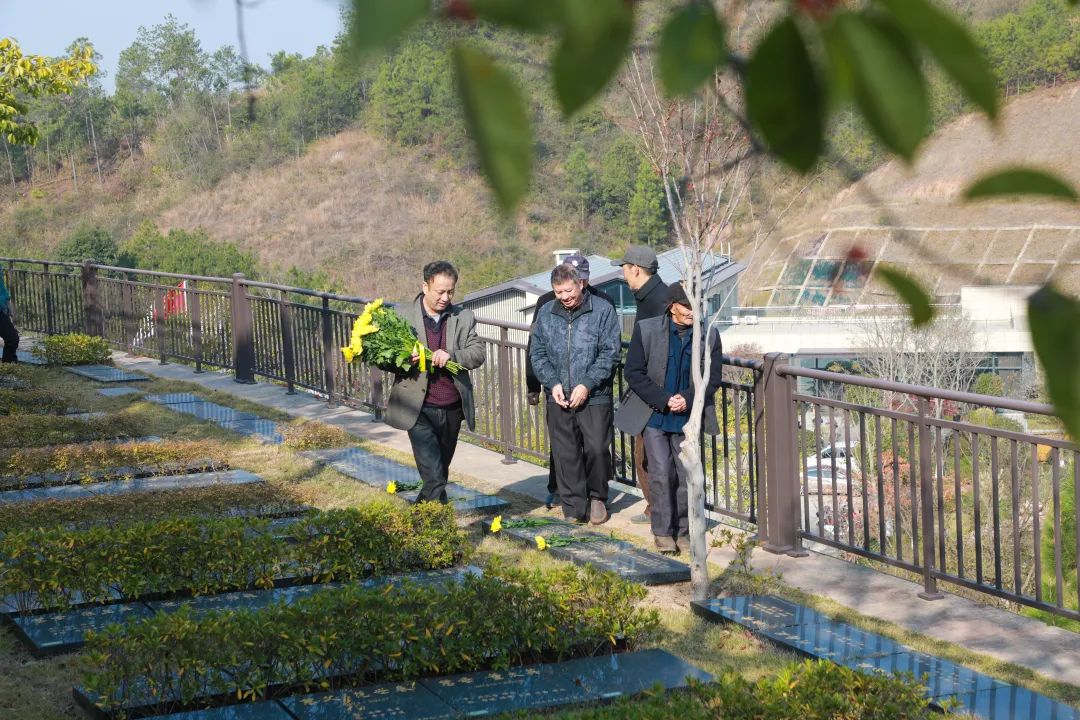 一束鲜花寄哀思，文明祭扫入人心