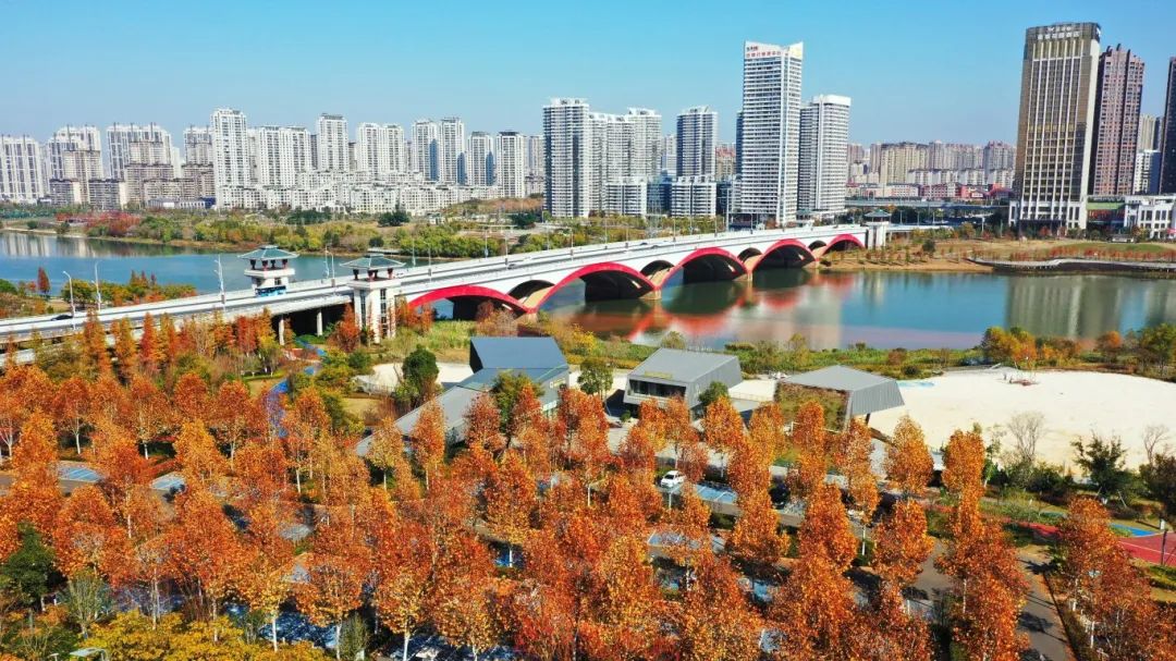 美翻了！蓉江冬日“画卷”不容错过~