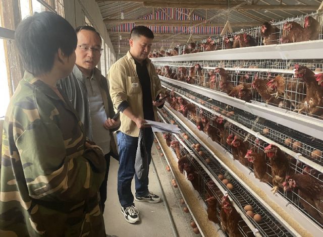县财政局：开展强制免疫“先免后补”现场核查