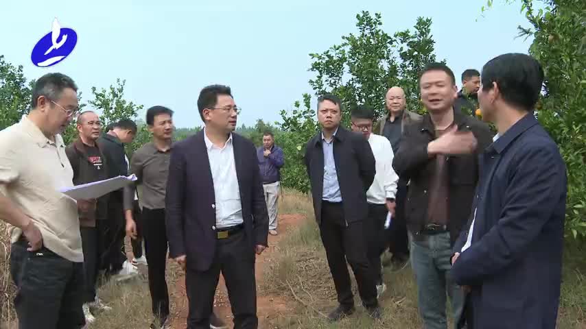 金彪调研耕地保护工作