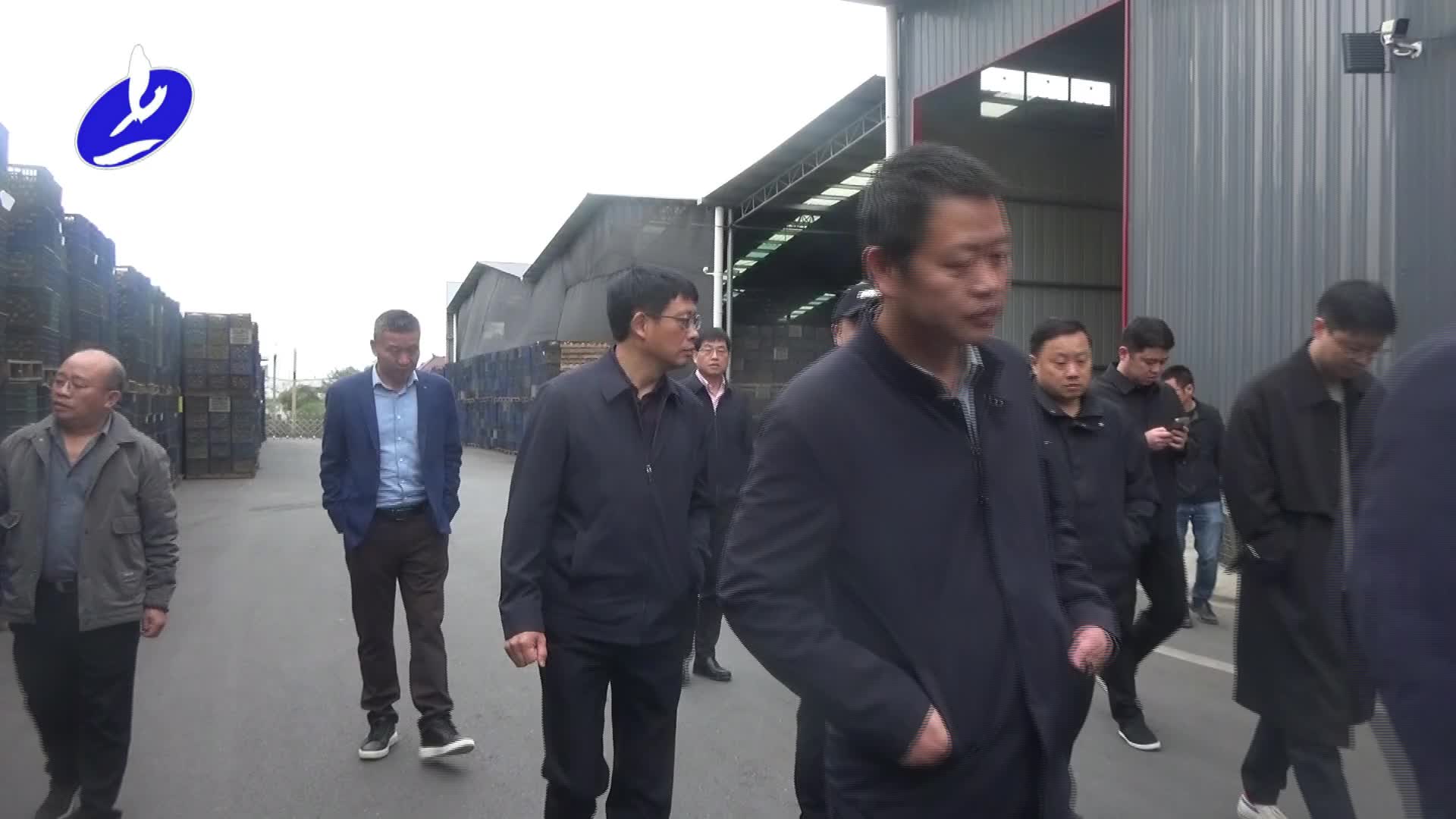 吴依群一行到我县开展农业产业化高质量发展情况调研