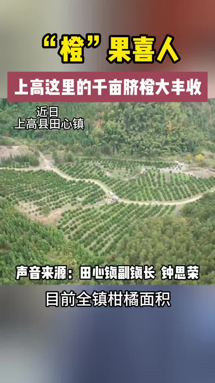 第16集 “橙”果喜人！上高这里的千亩脐橙大丰收