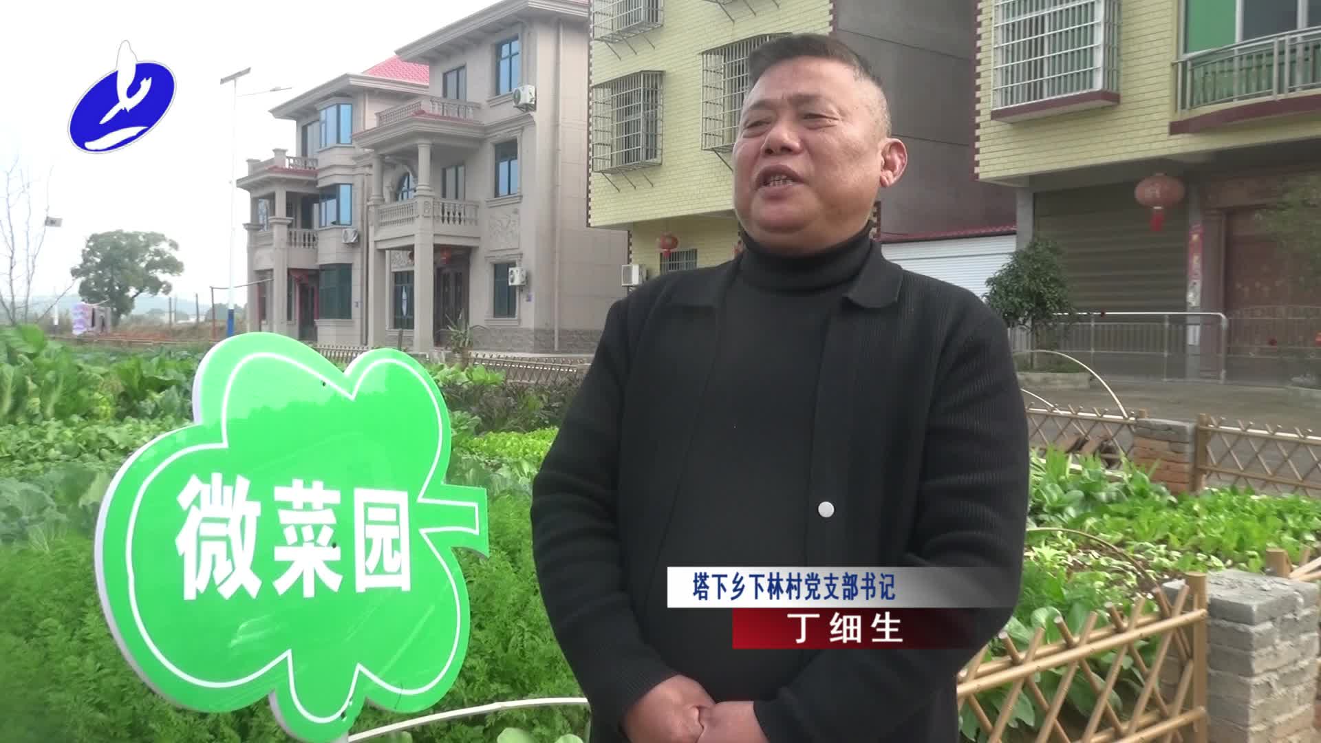 上高：乡村“微菜园” 村民好评不断