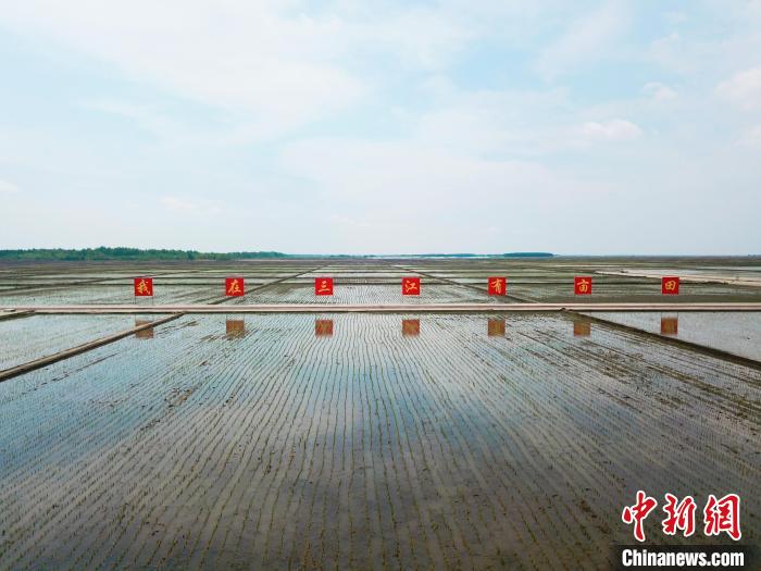 黑龙江春耕生产基本结束 农作物均播在丰产期-中新网